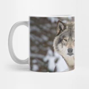 Grey Wolf Mug